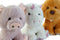 Peluche de animalitos detalle / nadiesinregalo.com