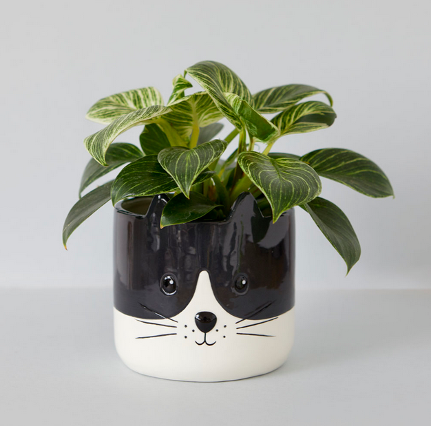 Macetero Gato blanco y negro con planta / Nadie sin regalo