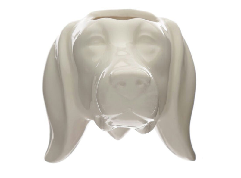 Maceta de pared con forma de perro de frente / Nadie sin regalo