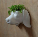 Maceta de pared con forma de perro con planta / Nadie sin regalo