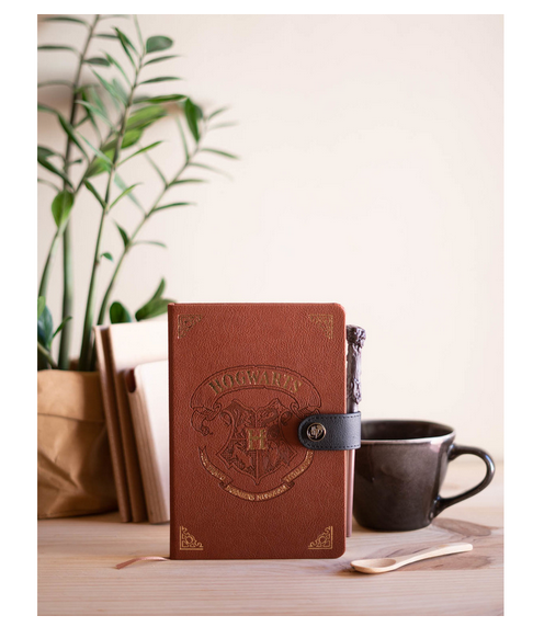 Cuaderno Harry Potter varita ejemplo / Nadie sin regalo