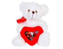Peluche oso con corazón portafotos 21 cm / Nadie sin regalo