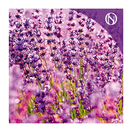 Ambientador pulverizador spray Lavanda / Nadie sin regalo