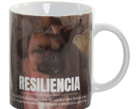 Taza Definicion Resiliencia / Nadie sin regalo