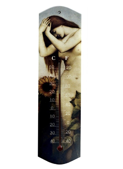 Termómetro analógico girasol / Nadie sin regalo