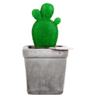 Velas cactus stone con segmento / Nadie sin regalo