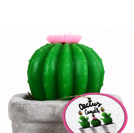 Velas cactus stone detalle flor / Nadie sin regalo