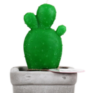 Vela cactus detalle / Nadie sin regalo